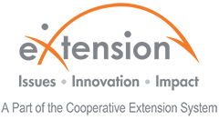 custom logo